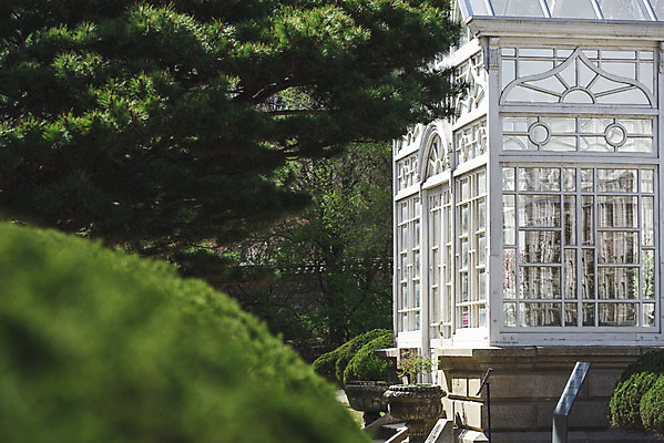 포토 JPG 주간 나무 서울 사람없음 야외 관광지 봄풍경 문화재 소프트포커스 온실 창경궁 국내포토 자연요소 식물 여행 한국 촬영기법 풍경 봄 궁전 파일형식