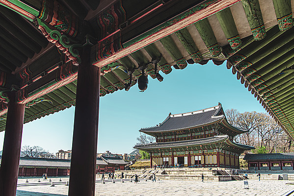 포토 JPG 주간 서울 사람없음 야외 관광지 봄풍경 세계문화유산 국보 처마 창덕궁 인정전 국내포토 자연요소 여행 한국 풍경 봄 궁전 문화재 파일형식