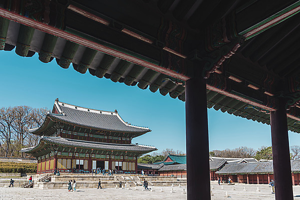 포토 JPG 주간 서울 사람없음 야외 관광지 봄풍경 세계문화유산 국보 처마 창덕궁 인정전 국내포토 자연요소 여행 한국 풍경 봄 궁전 문화재 파일형식