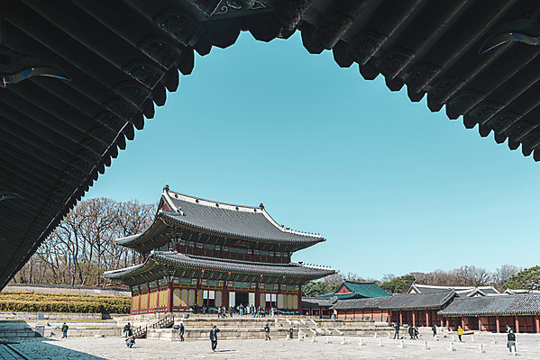 포토 JPG 주간 서울 사람없음 야외 관광지 봄풍경 세계문화유산 국보 처마 창덕궁 인정전 국내포토 자연요소 여행 한국 풍경 봄 궁전 문화재 파일형식