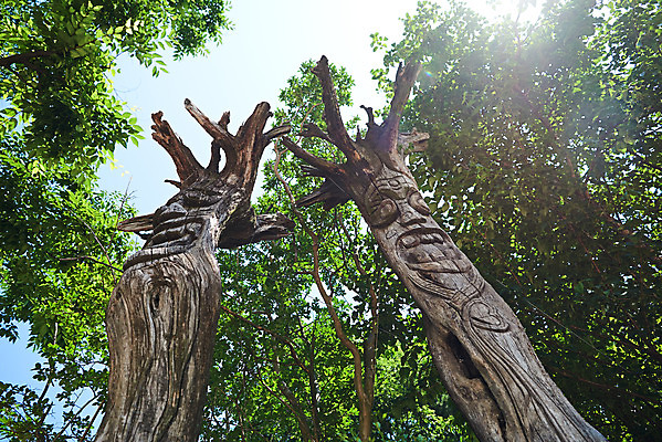 포토 JPG 주간 로우앵글 나뭇잎 풍경 사람없음 야외 햇빛 농촌 시골 충청남도 목장승 외암리 아산 국내포토 자연요소 뷰포인트 잎 태양 장승 충청도 파일형식