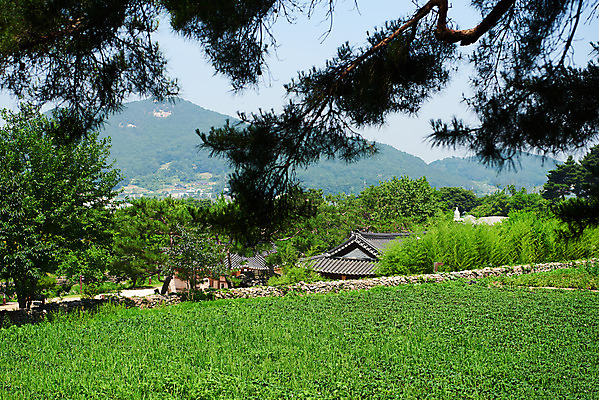 포토 JPG 주간 밭 나뭇잎 산 한옥 풍경 사람없음 야외 농촌 시골 충청남도 민속마을 외암리 아산 국내포토 자연요소 한국전통 고건축 잎 농업 충청도 파일형식