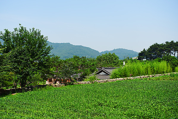 포토 JPG 주간 밭 한옥 풍경 사람없음 야외 농촌 시골 충청남도 외암리 아산 국내포토 자연요소 한국전통 고건축 농업 충청도 파일형식