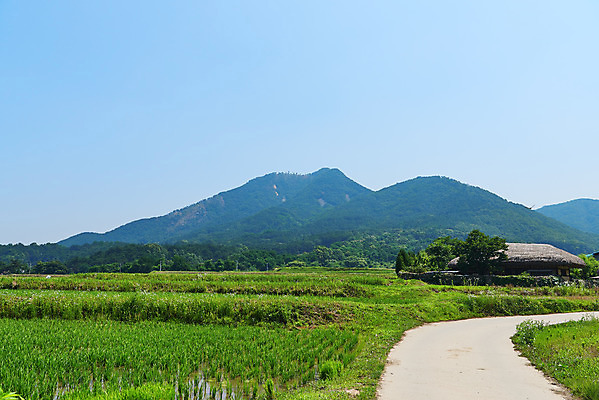 포토 JPG 주간 길 밭 산 논 풍경 사람없음 야외 농촌 시골 충청남도 외암리 아산 국내포토 자연요소 농업 충청도 파일형식
