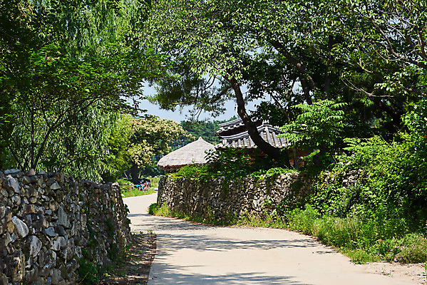 포토 JPG 주간 길 나뭇잎 한옥 돌담 풍경 사람없음 야외 농촌 시골 충청남도 외암리 아산 국내포토 자연요소 한국전통 고건축 잎 담장 돌_바위 충청도 파일형식