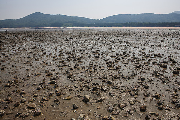 포토 JPG 주간 산 풍경 사람없음 야외 갯벌 인천 석모도 국내포토 자연요소 한국 파일형식