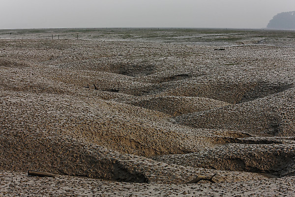 포토 JPG 주간 풍경 사람없음 야외 충청남도 갯벌 서산 서해 국내포토 자연요소 바다 충청도 파일형식
