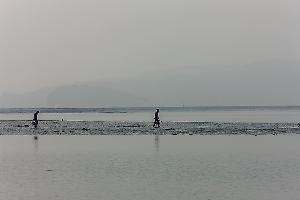 포토 JPG 주간 전신 실루엣 바다 사람 풍경 야외 두명 걷기 충청남도 갯벌 흐림 서산 서해 국내포토 자연요소 모션 날씨 촬영기법 충청도 파일형식