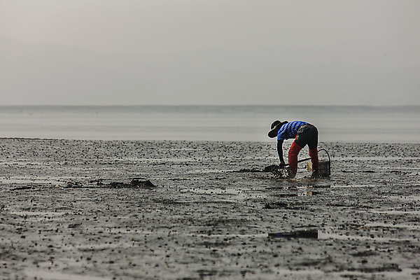 포토 JPG 주간 전신 숙이기 한명 사람 풍경 야외 옆모습 충청남도 갯벌 흐림 서산 서해 국내포토 자연요소 1 바다 뷰포인트 포즈 날씨 충청도 파일형식