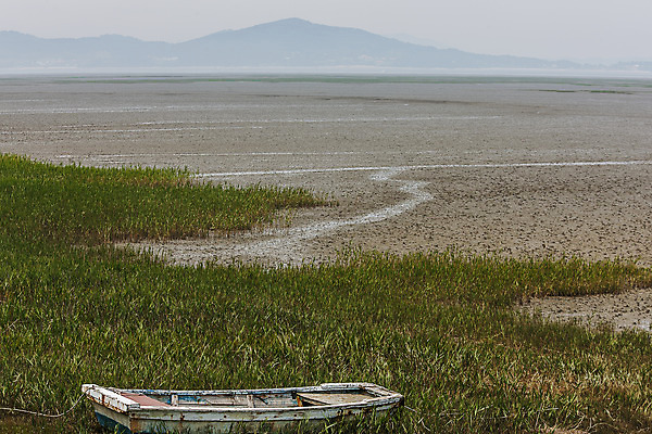 포토 JPG 주간 풍경 사람없음 야외 충청남도 갯벌 서산 서해 선박 국내포토 자연요소 바다 수상교통 충청도 파일형식