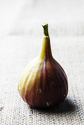 포토 JPG 사람없음 아웃포커스 전라남도 천 특산물 무화과 영암 국내포토 과일 촬영기법 직물 전라도 파일형식