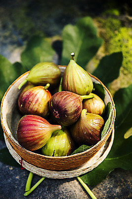 포토 JPG 주간 나뭇잎 사람없음 야외 아웃포커스 바구니 전라남도 담기 특산물 무화과 영암 국내포토 자연요소 잎 과일 모션 촬영기법 전라도 파일형식