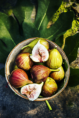 포토 JPG 주간 단면 나뭇잎 사람없음 야외 아웃포커스 하이앵글 바구니 전라남도 담기 특산물 슬라이스 무화과 영암 국내포토 자연요소 뷰포인트 잎 과일 모션 촬영기법 전라도 파일형식