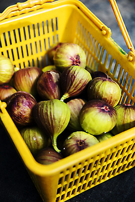 포토 JPG 주간 사람없음 야외 바구니 전라남도 담기 특산물 무화과 영암 국내포토 자연요소 과일 모션 전라도 파일형식