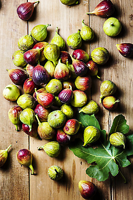 포토 JPG 나뭇잎 사람없음 전라남도 특산물 무화과 영암 나무배경 국내포토 백그라운드 잎 과일 전라도 파일형식