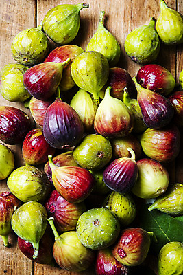 포토 JPG 나뭇잎 사람없음 전라남도 특산물 무화과 영암 나무배경 국내포토 백그라운드 잎 과일 전라도 파일형식