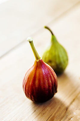 포토 JPG 사람없음 아웃포커스 전라남도 특산물 무화과 영암 나무배경 국내포토 백그라운드 과일 촬영기법 전라도 파일형식