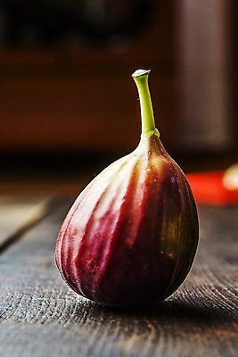 포토 JPG 근접촬영 사람없음 아웃포커스 전라남도 특산물 무화과 영암 나무배경 국내포토 뷰포인트 백그라운드 과일 촬영기법 전라도 파일형식