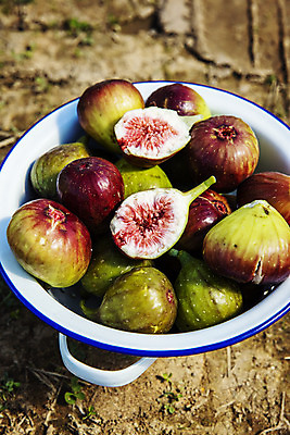 포토 JPG 주간 그릇 단면 사람없음 야외 아웃포커스 전라남도 특산물 슬라이스 무화과 땅바닥 영암 국내포토 자연요소 식기 과일 바닥 촬영기법 전라도 파일형식