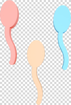 편집 편집이미지 사람없음 3D소스 3D 디지털합성 PNG 성교육 편집소스 정자세포 교육 생식세포 파일형식