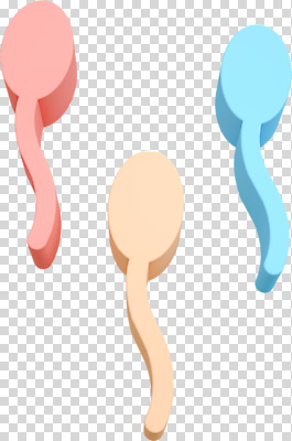 편집 편집이미지 사람없음 3D소스 3D 디지털합성 PNG 성교육 편집소스 정자세포 교육 생식세포 파일형식