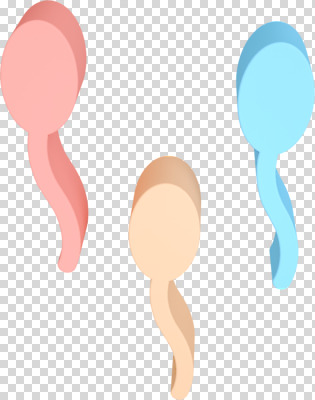 편집 편집이미지 사람없음 3D소스 3D 디지털합성 PNG 성교육 편집소스 정자세포 교육 생식세포 파일형식