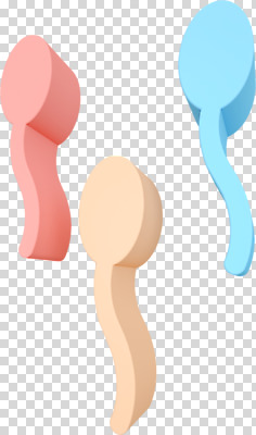 편집 편집이미지 사람없음 3D소스 3D 디지털합성 PNG 성교육 편집소스 정자세포 교육 생식세포 파일형식