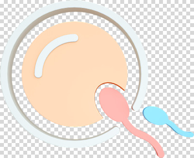 편집 편집이미지 사람없음 3D소스 3D 수정 디지털합성 난자 PNG 성교육 편집소스 정자세포 교육 생물 생식세포 파일형식