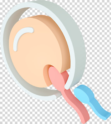 편집 편집이미지 사람없음 3D소스 3D 수정 디지털합성 난자 PNG 성교육 편집소스 정자세포 교육 생물 생식세포 파일형식