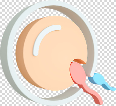 편집 편집이미지 사람없음 3D소스 3D 수정 디지털합성 난자 PNG 성교육 편집소스 정자세포 교육 생물 생식세포 파일형식