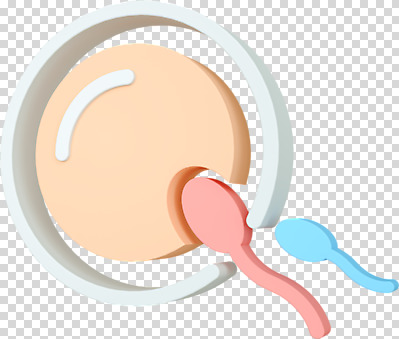 편집 편집이미지 사람없음 3D소스 3D 수정 디지털합성 난자 PNG 성교육 편집소스 정자세포 교육 생물 생식세포 파일형식