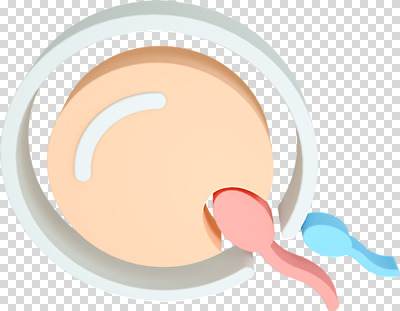 편집 편집이미지 사람없음 3D소스 3D 수정 디지털합성 난자 PNG 성교육 편집소스 정자세포 교육 생물 생식세포 파일형식