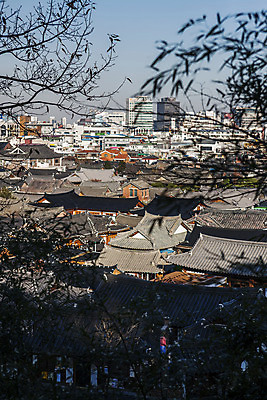 포토 JPG 주간 나무 한옥 사람없음 야외 건물 전라북도 기와지붕 한옥마을 전주 국내포토 자연요소 식물 한국전통 건축물 고건축 지붕 기와 마을 전라도 파일형식