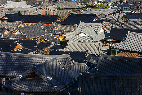포토 JPG 주간 한옥 사람없음 야외 전라북도 기와지붕 한옥마을 전주 국내포토 자연요소 한국전통 고건축 지붕 기와 마을 전라도 파일형식