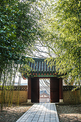 포토 JPG 주간 나무 한옥 사람없음 야외 전라북도 대문 전주 기와담장 경기전 국내포토 자연요소 식물 한국전통 고건축 기와 담장 문 전라도 파일형식