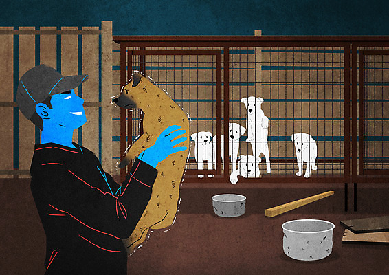 PSD 모자 남자 여러마리 일러스트 한명 들기 상반신 성인 강아지 동물학대 사육장 밥그릇 각목 불법 케이지 성인남자한명만 국내일러스트 반려용품 1 그릇 잡화 다수 모션 사람 반려동물 범죄 개 학대 오브젝트 남자한명만 성인남자만 파일형식