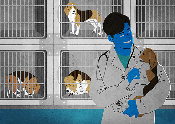 PSD 남자 여러마리 일러스트 안기 한명 들기 상반신 성인 의사 폭력 강아지 동물학대 비글 동물실험 케이지 성인남자한명만 국내일러스트 반려용품 1 다수 모션 실험 사람 반려동물 의료진 개 학대 사회이슈 오브젝트 남자한명만 성인남자만 파일형식