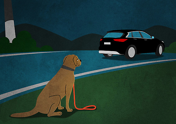 PSD 한마리 반려견 도로 일러스트 자동차 산 앉기 사람없음 강아지 버리기 동물학대 유기 길가 유기견 국내일러스트 1 길 육상교통 교통시설 모션 반려동물 개 학대 파일형식 유기동물