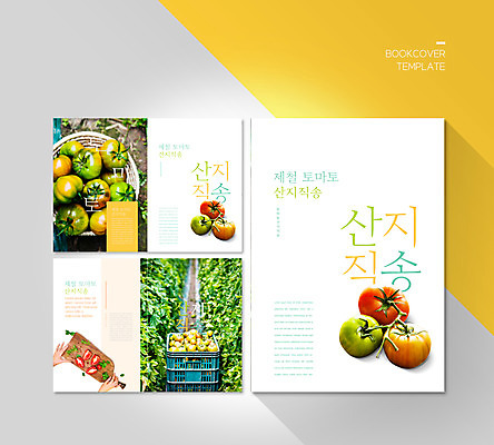 PSD 템플릿 표지디자인 북디자인 손 출판디자인 표지 ZIP 내지 리플렛 잎 토마토 북커버 팜플렛 신체부위 바구니 흰색 나무도마 산지직송 제철음식 이미지템플릿 식물 음식 컬러 채소 도마 사람 목재 제철 파일형식 직송
