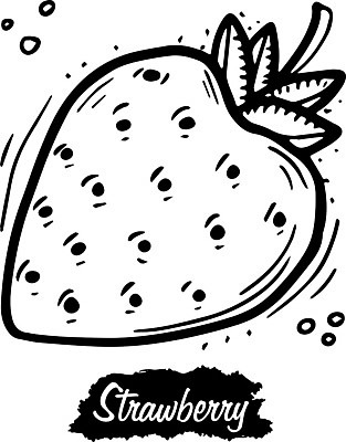 EPS 해외이미지 선 일러스트 딸기 사람없음 해외일러스트 과일 파일형식 벡터