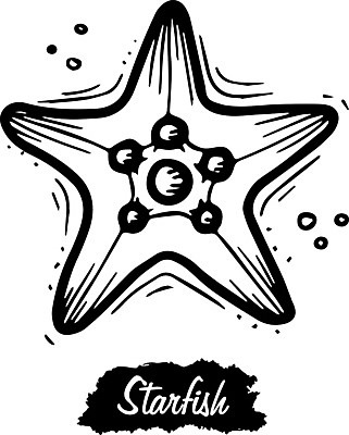 EPS 해외이미지 선 일러스트 불가사리 사람없음 해외일러스트 극피동물 파일형식 벡터