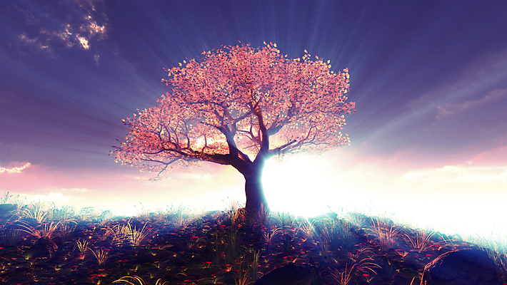 포토 JPG 해외이미지 나무 사람없음 햇빛 3D 일출 해외포토 식물 태양 노을 디지털합성 파일형식