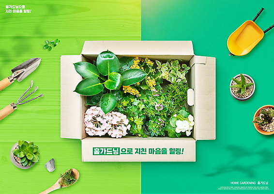 PSD 편집이미지 화분 잎 사람없음 초록색 인테리어 상자 모종삽 수국 다육식물 원예용품 자연친화적 홈가드닝 반려식물 이미지편집 식물 디자인 꽃 컬러 생활용품 삽 원예 파일형식