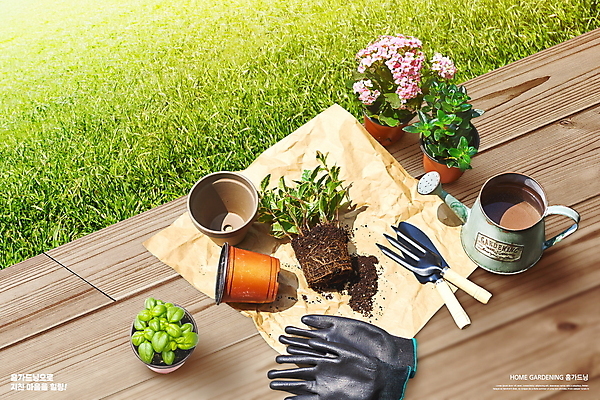 PSD 편집이미지 화분 장갑 잔디 사람없음 인테리어 물뿌리개 모종삽 나무바닥 분갈이 원예용품 자연친화적 홈가드닝 반려식물 이미지편집 식물 디자인 잡화 생활용품 바닥 삽 원예 파일형식