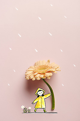 전신 PSD 편집이미지 여자 꽃 어린이 분홍색 우산 포토일러 장화 한명 들기 소녀 걷기 비 우비 손그림 감성 소녀한명만 이미지편집 자연요소 식물 1 옷 컬러 신발 컨셉 모션 날씨 사람 여자한명만 소녀만 파일형식