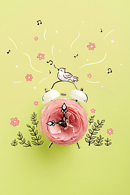 PSD 편집이미지 한마리 꽃 잎 노래 조류 포토일러 사람없음 연두색 자명종 시곗바늘 손그림 감성 이미지편집 식물 동물 1 음악 시계 컨셉 초록색 알람 파일형식