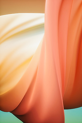 PSD 편집 편집이미지 백그라운드 곡선 사람없음 3D 디지털합성 웨이브 편집소스 코랄 편집3D 선 컬러 파일형식