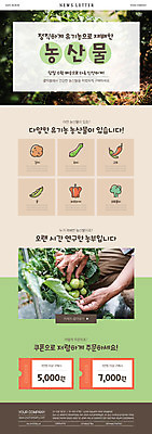 PSD 템플릿 손 ZIP 웹템플릿 토마토 고추 오이 콩 감자 파프리카 신체부위 초록색 연두색 농작물 수확 브로콜리 유기농 정직 뉴스레터 할인쿠폰 이미지템플릿 웰빙 컬러 농업 채소 곡류 사람 쿠폰 파일형식