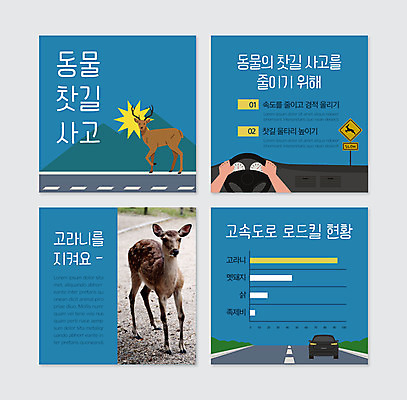 PSD 템플릿 손 웹템플릿 두마리 사슴 안전 신체부위 파란색 차도 핸들 도로표지판 고라니 로드킬 사고방지 주의표지판 카드뉴스 이미지템플릿 도로 컬러 2 포유류 사람 표지판 예방 파일형식