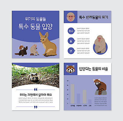 PSD 템플릿 웹템플릿 말풍선 그래프 사람없음 보라색 원숭이 동물보호 너구리 사막여우 레서판다 반려 위기 입양 카드뉴스 이미지템플릿 컬러 포유류 사회이슈 여우 파일형식
